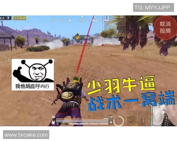 和平精英战术解析：深入探讨FPX战队的防守与反击策略