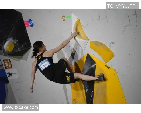 南京攀岩队在全国攀岩耐力排行榜中荣获第五名的佳绩引发关注