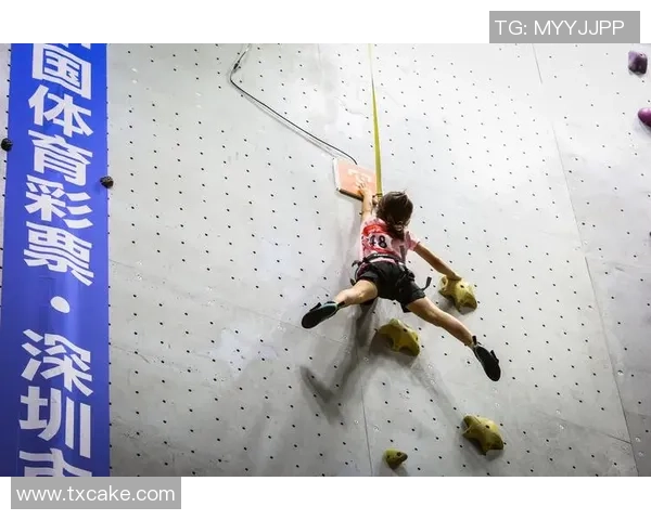 攀岩竞技新风潮：探讨北京攀岩队在速度赛中的突破与挑战