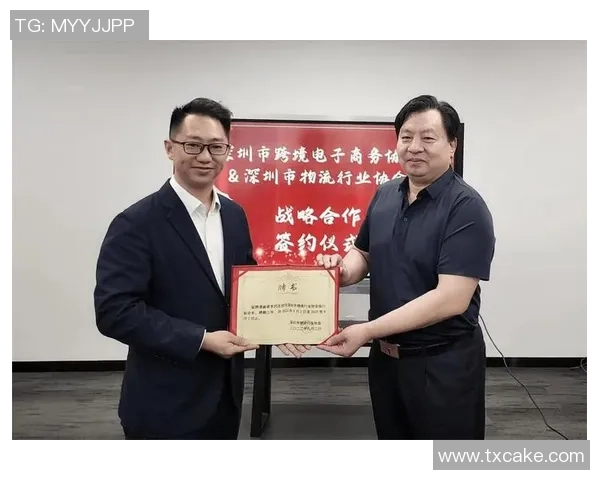 深圳飞盘队个人能力分析与团队协作的深度探讨