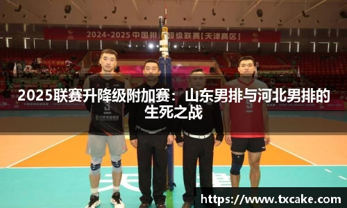 2025联赛升降级附加赛：山东男排与河北男排的生死之战