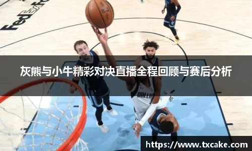 灰熊与小牛精彩对决直播全程回顾与赛后分析